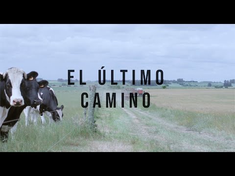 El último camino - short documentary - Iuval Goldansky editor